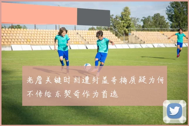 老詹关键时刻遭封盖夸梅质疑为何不传给东契奇作为首选